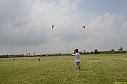 Parco San Giuliano  - 152